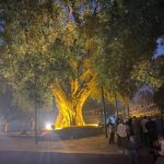 Full Day Lumbini Tour - Detailed Breakdown of the Itinerary