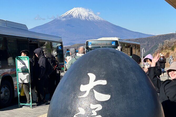 Full day Mt.Fuji&Hakone Tour with Guide-Driver 11-20 guests - What Travelers Can Expect and Tips
