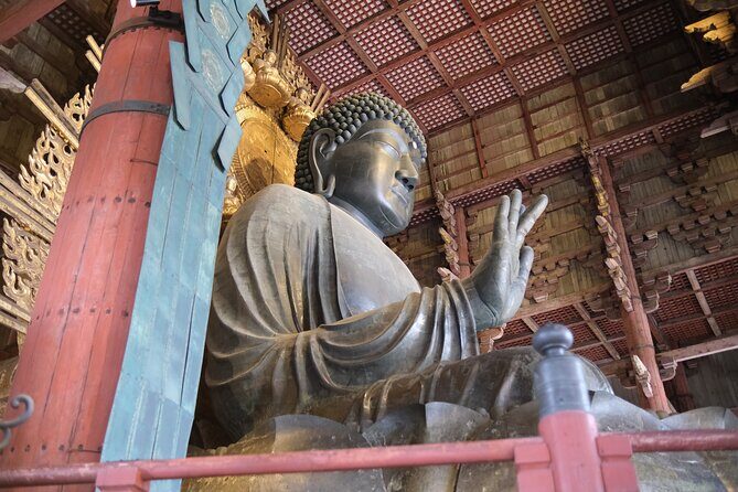 Full Day Nara E bike Tour and Osaka History Food Tour - Who Will Love This Tour?