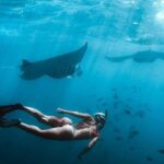 Full Day Nusa Penida Manta Point Snorkeling and West Island Tour - A Deep Dive into the Tour Experience