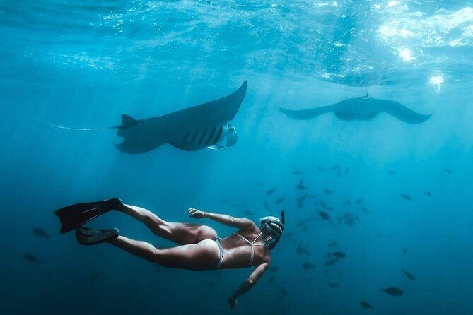 Full Day Nusa Penida Manta Point Snorkeling and West Island Tour - A Deep Dive into the Tour Experience