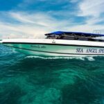 Full Day- Phi Phi Island & Maya Bay Snorkeling in Phuket & Lunch - Who Should Consider This Tour?