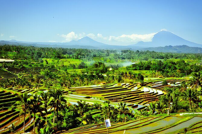 Full-Day Private Bali Car Charter with English Speaking Driver - Who Should Consider This Tour?