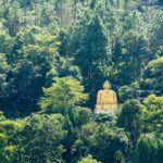 Full Day Private Bird-watching Tour in Phulchoki - Final Thoughts: Is This Tour Worth It?