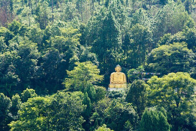 Full Day Private Bird-watching Tour in Phulchoki - Final Thoughts: Is This Tour Worth It?