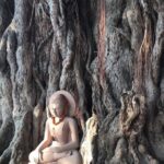 Full-Day Private Guided Bodhgaya Tour with Pick Up - Why This Tour Provides Real Value