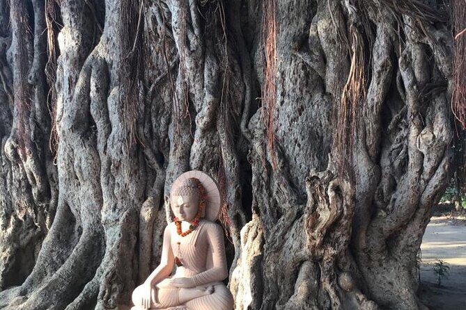 Full-Day Private Guided Bodhgaya Tour with Pick Up - Why This Tour Provides Real Value