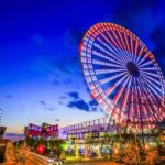 Full Day Private Osaka City Tour with EnglishSpeaking guide - A Closer Look at What You Can Expect