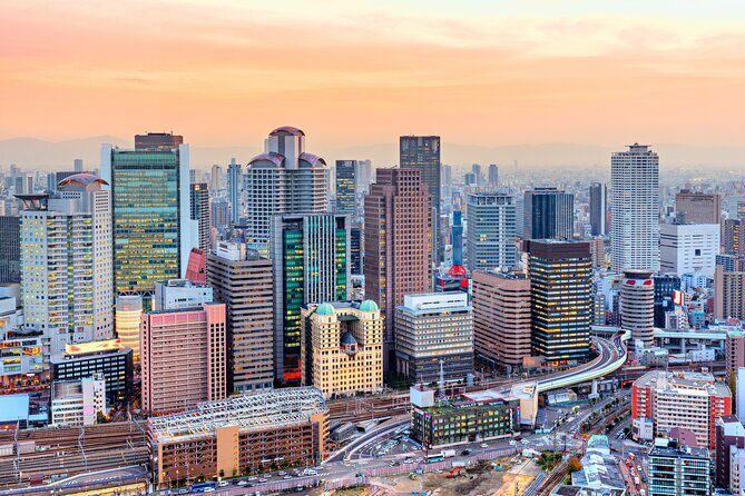 Full Day Private Shore Tour in Osaka from Osaka Cruise Port - FAQ