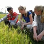 Full Day Private Silk Village And Elephant Waterfall Tour - What Makes This Tour Stand Out?