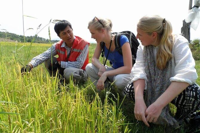 Full Day Private Silk Village And Elephant Waterfall Tour - What Makes This Tour Stand Out?