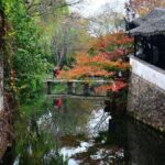 Full-Day Private Suzhou and Tongli Tour by Bullet Train - What Makes This Tour Stand Out