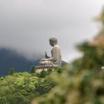 Full-Day Private Tour of Lantau Island including Big Buddha and Tai O - Who Will Love This Tour?
