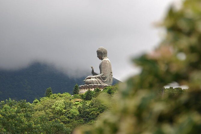Full-Day Private Tour of Lantau Island including Big Buddha and Tai O - Who Will Love This Tour?