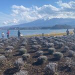 Full Day Private Tour to Mt Fuji by Luxury Vehicle - FAQs