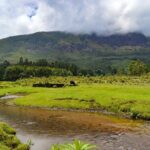 Full-Day Private Tour to Munnar from Kochi with Lunch - Who is This Tour Best For?