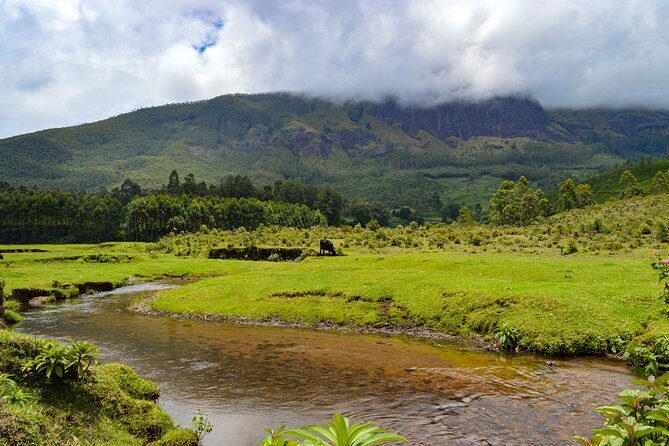 Full-Day Private Tour to Munnar from Kochi with Lunch - Who is This Tour Best For?