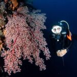 Full-Day Scuba Diving Experience of USAT Liberty in Tulamben - Lunch Break and Rest