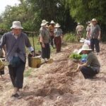Full Day Siem Reap Farm Tour with Cooking Class and Monk Blessing - The Sum Up