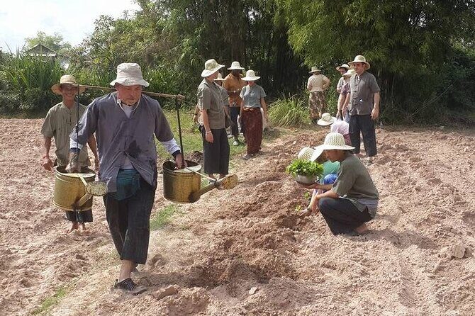 Full Day Siem Reap Farm Tour with Cooking Class and Monk Blessing - The Sum Up