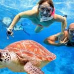 Full-Day Tour in Nusa Penida Island + Snorkeling Experience - The Experience: What You Can Expect