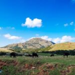 Full-day Tour in Yangmingshan & Beitou from Taipei - Wrapping Up at Shilin Night Market