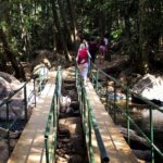 Full-Day Tour Old Goa Dudhsagar Falls and Spice Plantation - FAQ