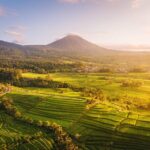 Full Day Tour Tanah Lot, Jatiluwih, Danau Beratan - What Travelers Love