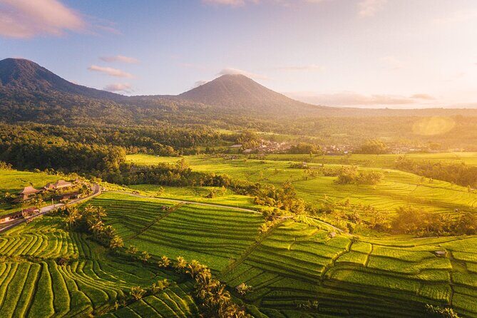 Full Day Tour Tanah Lot, Jatiluwih, Danau Beratan - What Travelers Love