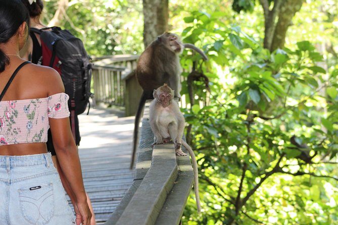 Full day Tour to Best of Ubud with jungle swing - FAQs