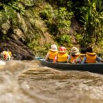Full Day Trip of Brunei Ulu Temburong National Park including Canopy Walk - The Sum Up