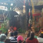 Full Day Ubud and Kintamani Tour - An In-Depth Look at the Full Day Ubud and Kintamani Tour