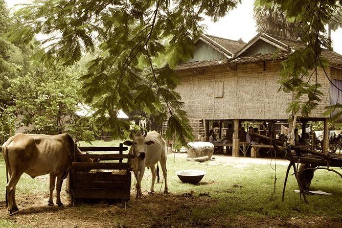 Full-day: Wat Banan. Old bamboo train. Bat Cave. Killing cave - Why This Tour Offers Real Value