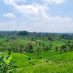 Full Day Wonders of Bali Private Tour with Pickup and Lunch - A Deep Dive into Bali’s Top Sights