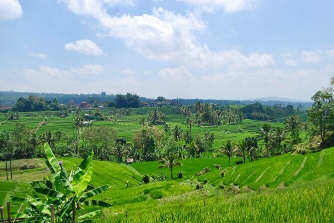 Full Day Wonders of Bali Private Tour with Pickup and Lunch - A Deep Dive into Bali’s Top Sights