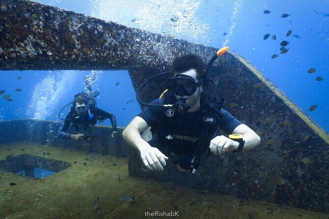Fun Dive on Racha Islands for Certified Divers Only - Analyzing the Value