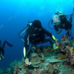 Fun Diving Tulamben Bali - For Certified Divers - Final Thoughts: Is This Tour for You?
