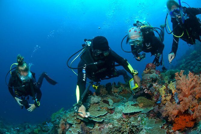 Fun Diving Tulamben Bali - For Certified Divers - Final Thoughts: Is This Tour for You?