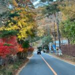 Fun Trail in Tokyo - The Sum Up