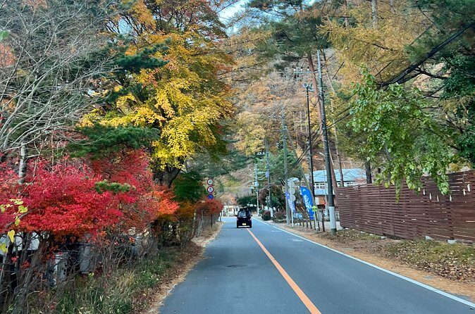 Fun Trail in Tokyo - The Sum Up