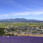 Furano, Biei & Blue Pond Full-day Private Tour (Up to 9~21 pax) - FAQs