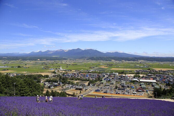 Furano, Biei & Blue Pond Full-day Private Tour (Up to 9~21 pax) - FAQs