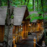 Furano Private Customizable Half Day Tour - Exploring the Furano Half-Day Private Tour