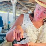 Galle Day Tour with Turtle Hatchery & River Boat Safari - How Does It Value Compare?