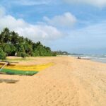 Galle Fort & Bentota Day Trip from Colombo - Who Is This Tour Best Suited For?