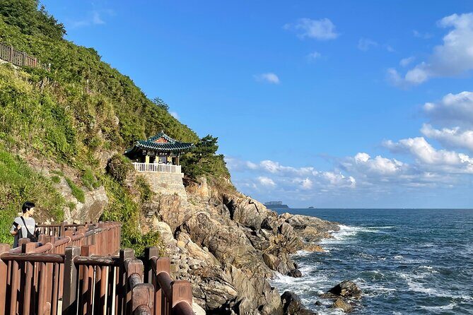 Gangneung Sightseeing Day Tour - The Itinerary: What You’ll Experience