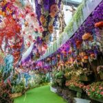 Garden By Bay Cloud Forest, Flower Dome & Supertree Observatory - Authentic Experiences & Traveler Insights