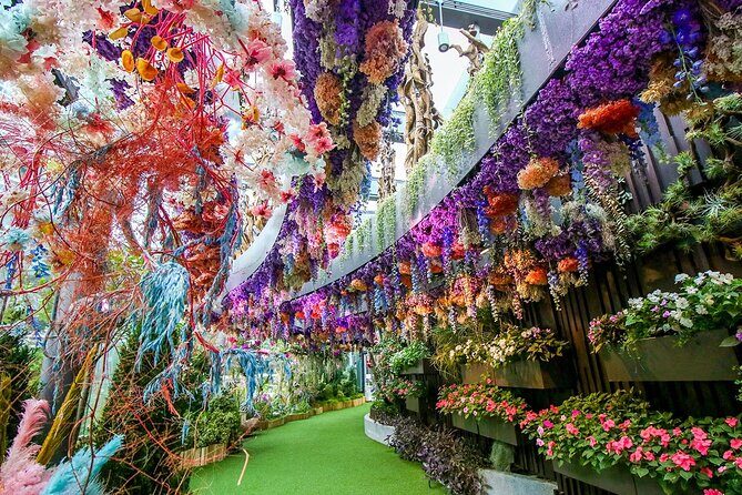Garden By Bay Cloud Forest, Flower Dome & Supertree Observatory - Authentic Experiences & Traveler Insights