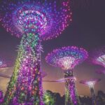 Garden by the Bay Ticket Only Optional Skypark Observation Deck - A Deep Dive into the Experience