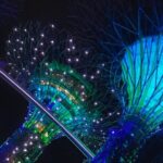 Gardens by the Bay Singapore combo - Who Would Love This Tour?